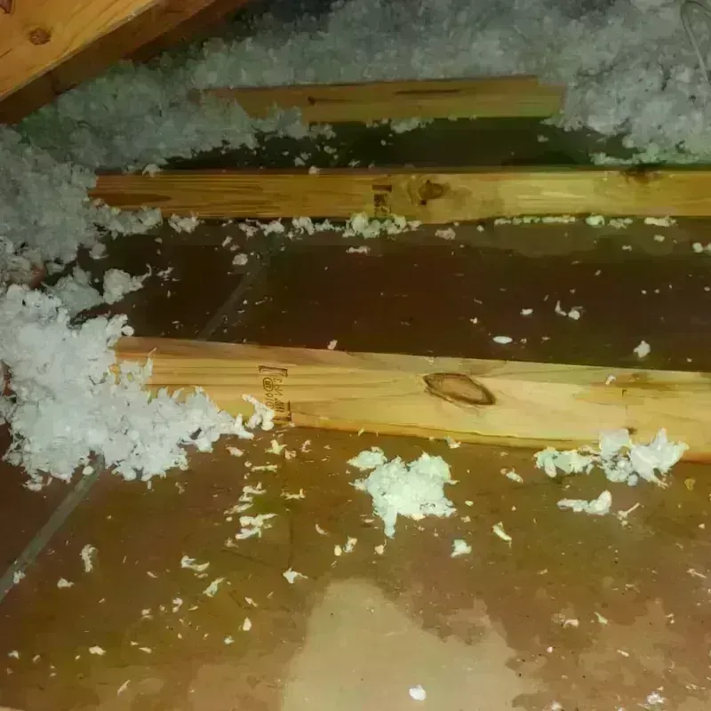 Attic Water Damage in Linglestown, PA